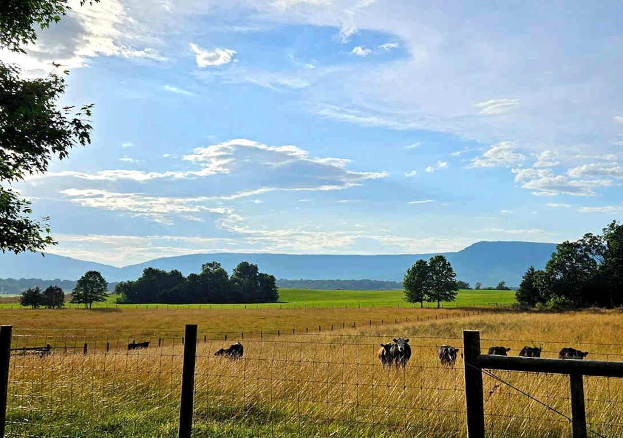 Piney Hill B & B And Cottages Luray Esterno foto