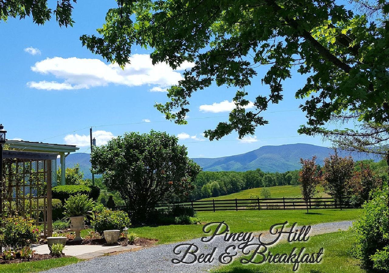 Piney Hill B & B And Cottages Luray Esterno foto